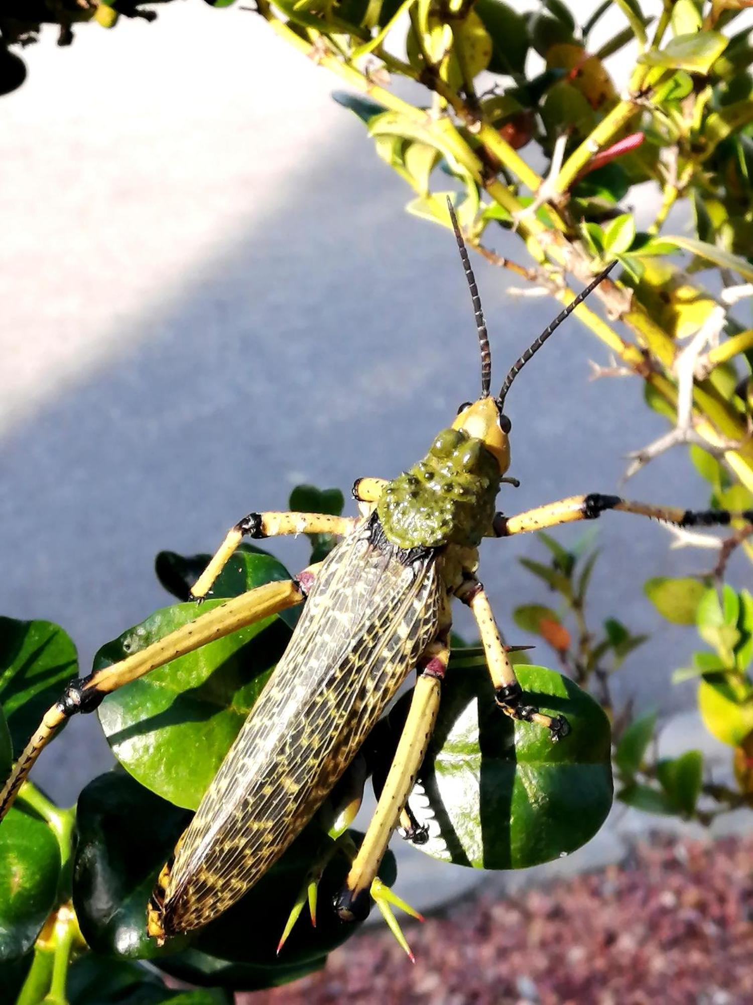 Jojo'S Bnb Mossel Bay Zewnętrze zdjęcie