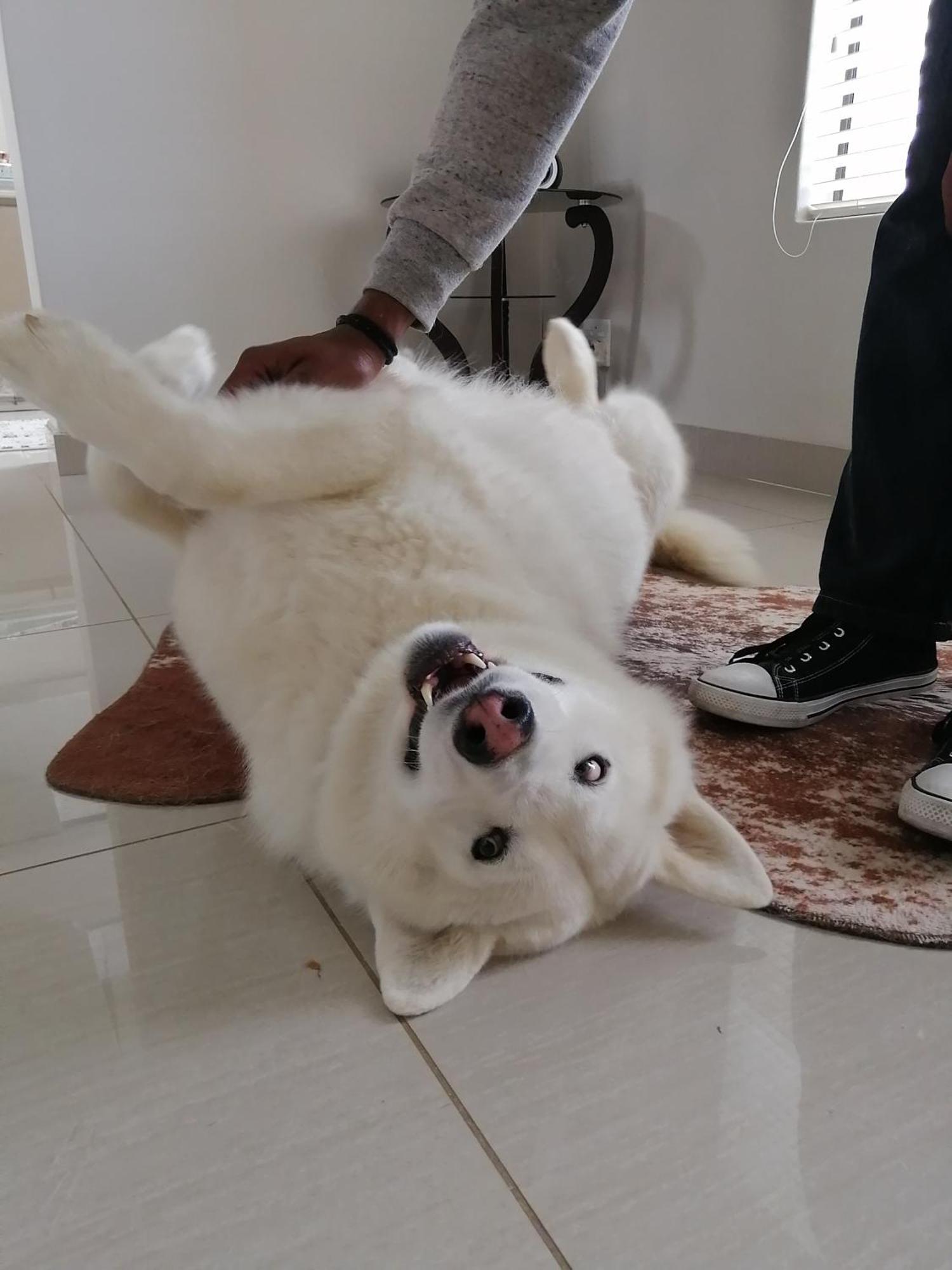 Jojo'S Bnb Mossel Bay Zewnętrze zdjęcie
